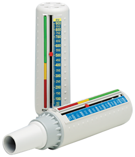 Peak flow meter